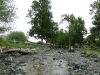 p1090173