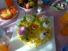 small_p1080836