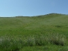 sam_3557-kopie