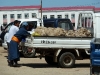 p1040538-kopie