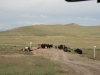 small_1762