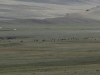 small_2-106