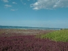 small_p1080883